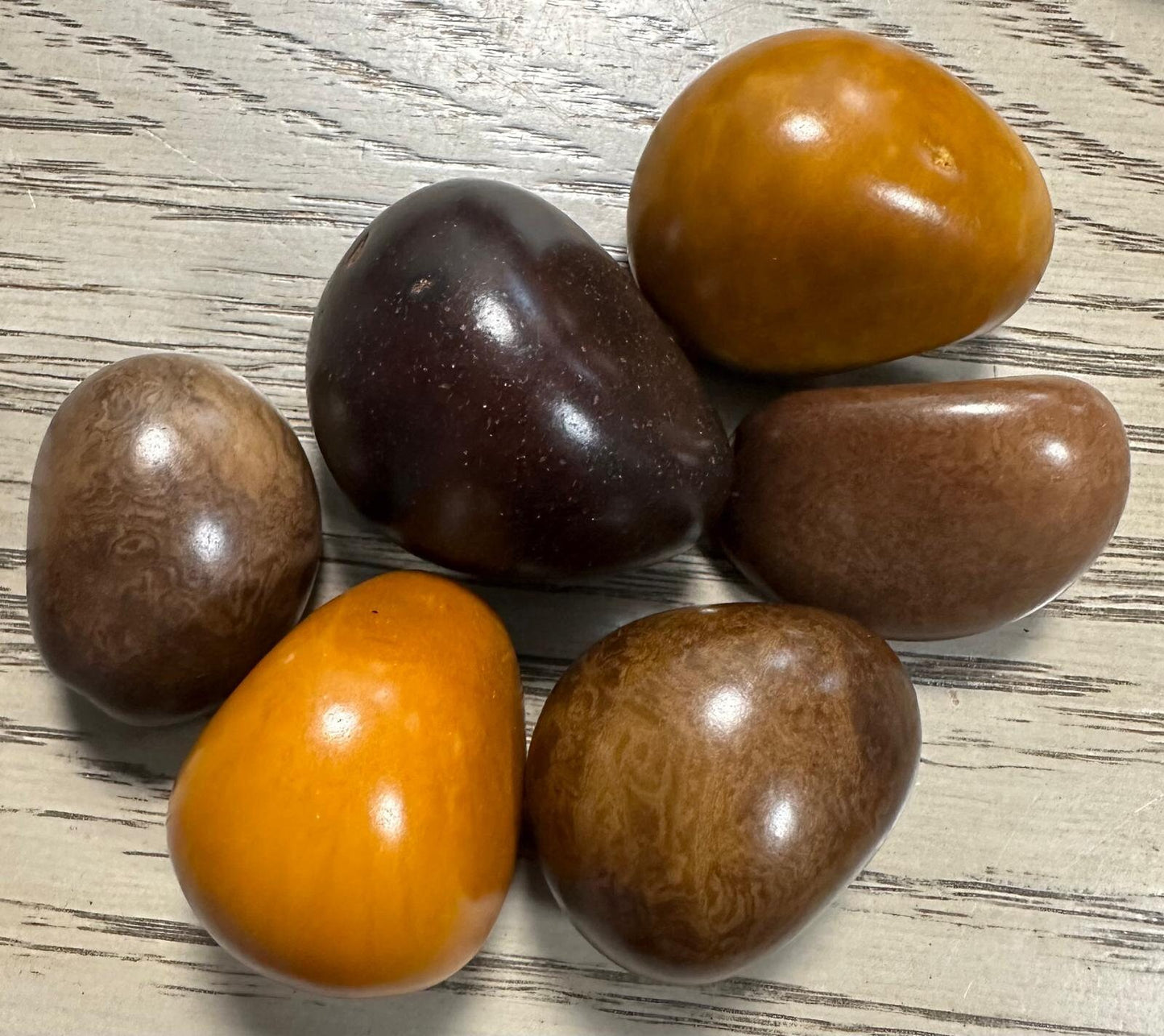 Tagua Whole Nut. 5 Orange, Brown and Beige Pieces.