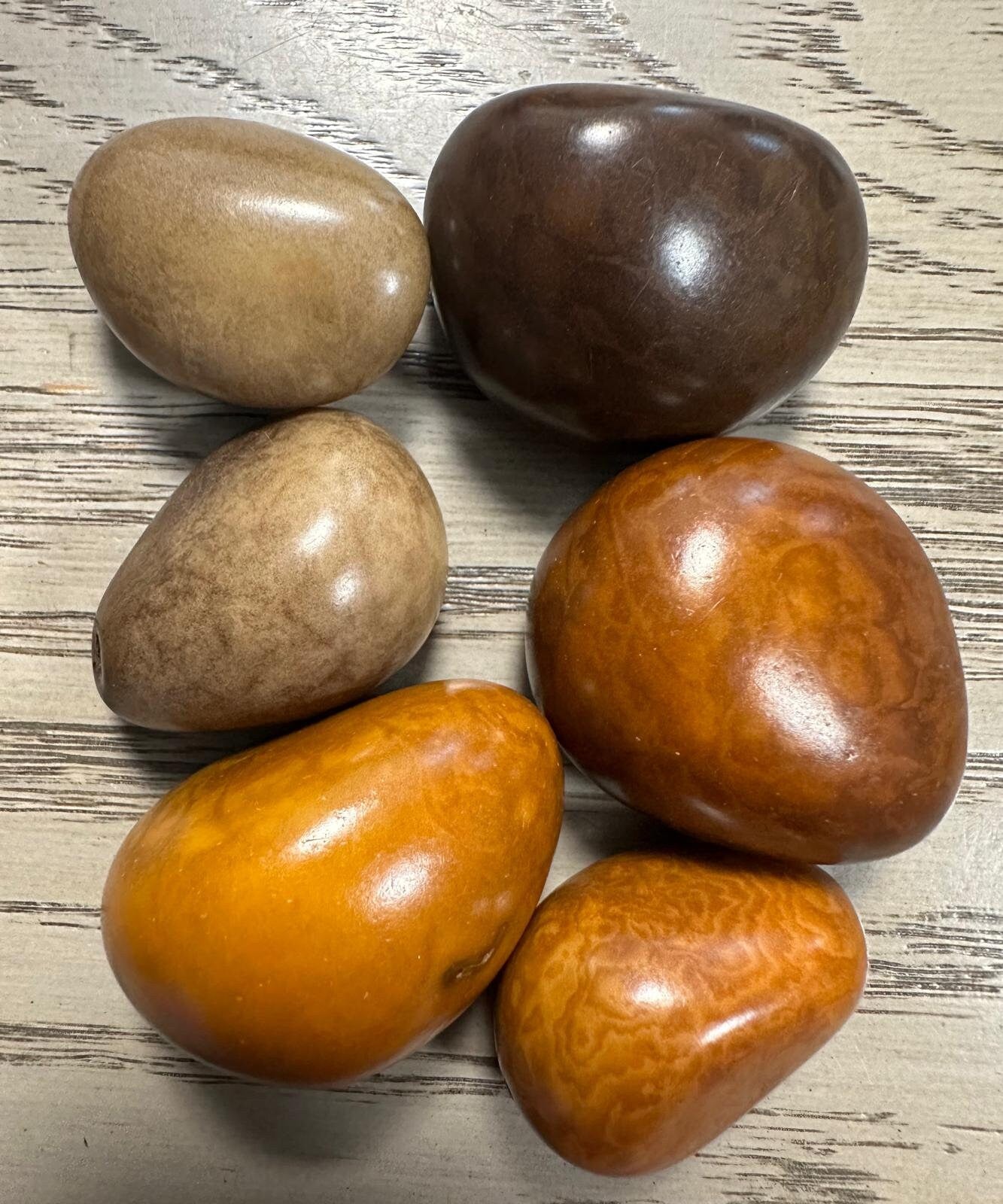 Tagua Whole Nut. 5 Orange, Brown and Beige Pieces.