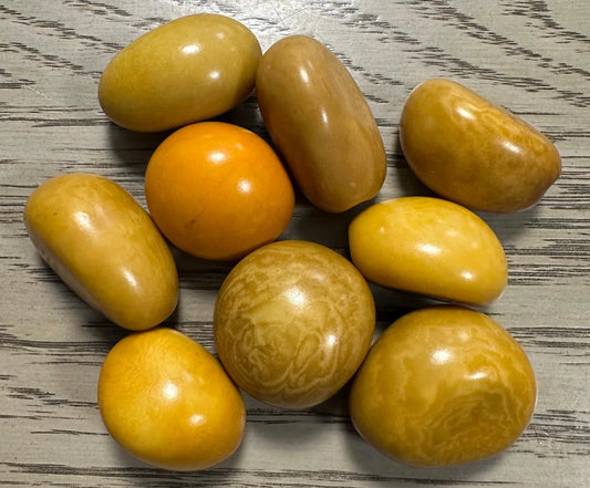 Tagua Whole Nut. 9 Yellow Pieces.