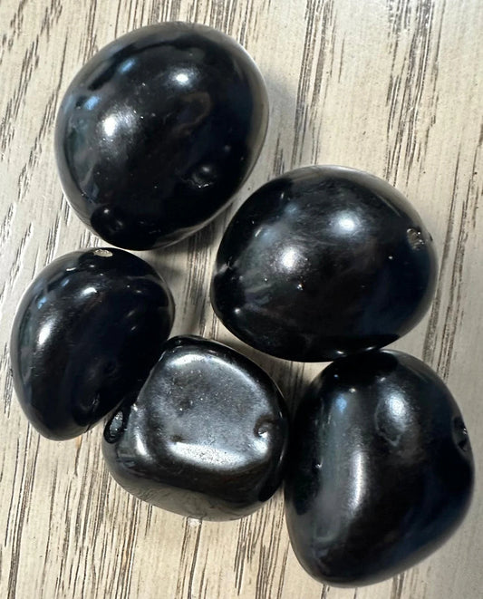 Tagua Whole Nut. 5 Black Drilled Pieces.