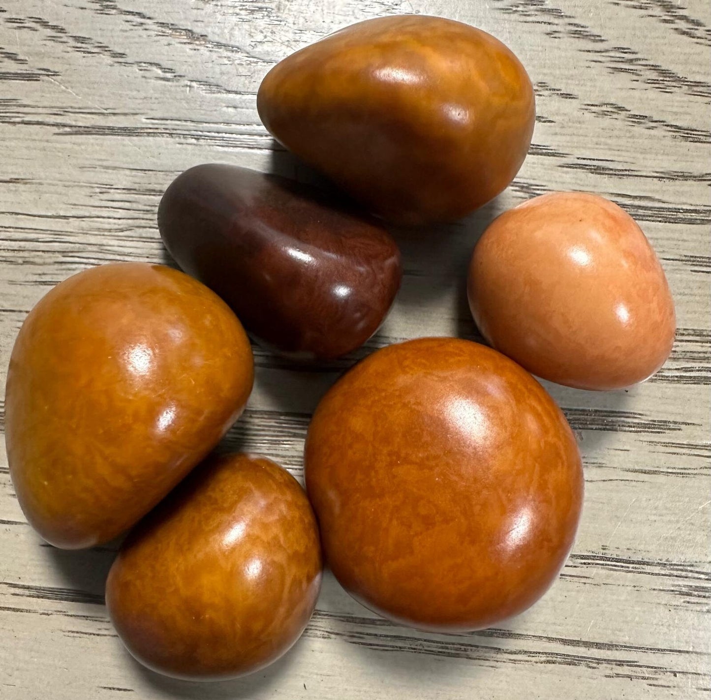 Tagua Whole Nut. 5 Orange, Brown and Beige Pieces.