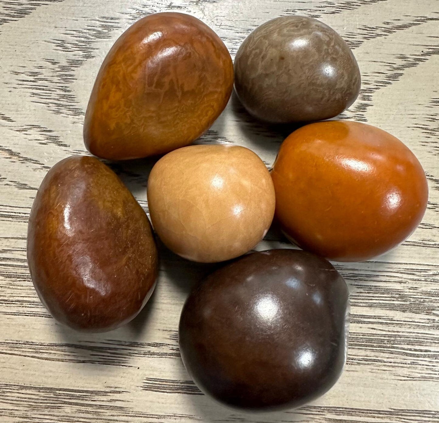 Tagua Whole Nut. 5 Orange, Brown and Beige Pieces.