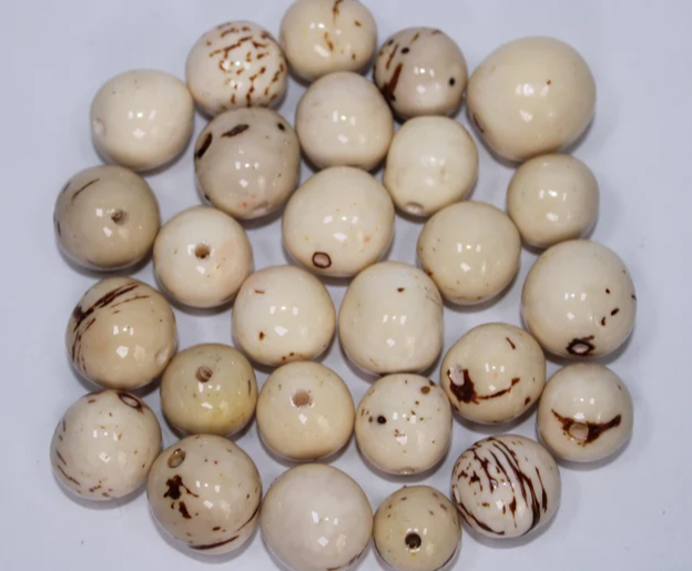 Seed Beads White Bombona Balls 100 pcs Size: 2-2.5 cm. Approx. Top Drilled Natural Jewelry Making Supplies Free Shipping in USA