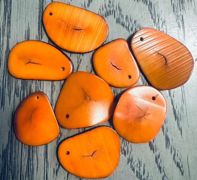 Tagua Bead Slice Shape Tagua Nut Bead in Orange Tagua with Cracks 30 pieces Tagua Jewelry Making Natural Seed Beads Beading Ethical