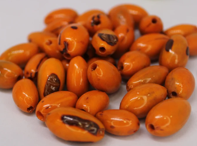 Orange beads made of camajuro seeds from Colombia. Size: 2.5 x 1.5 cm. approx. Natural beads. Pack of 30 beads. Free Shipping R.1020