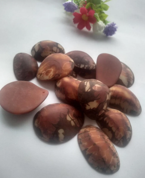 Brown Tagua Oval Beads. Natural Seed from Colombia Rainforest. 15 Beads 4 x 3.cm. Top Drilled. Natural Jewelry Making. Free Shipping R.1034