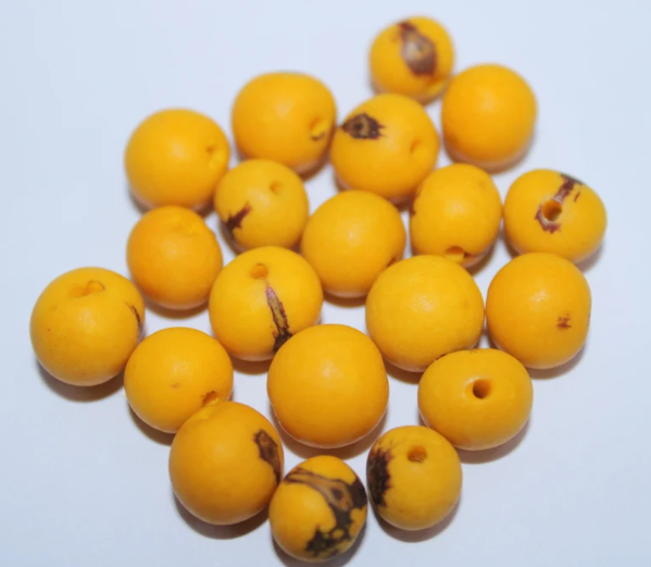 Yellow beads Acai seeds from the Colombian Amazonian palm. Size: 1x1cm. Hole size 1mm approx. natural accounts. Pack of 200 beads.