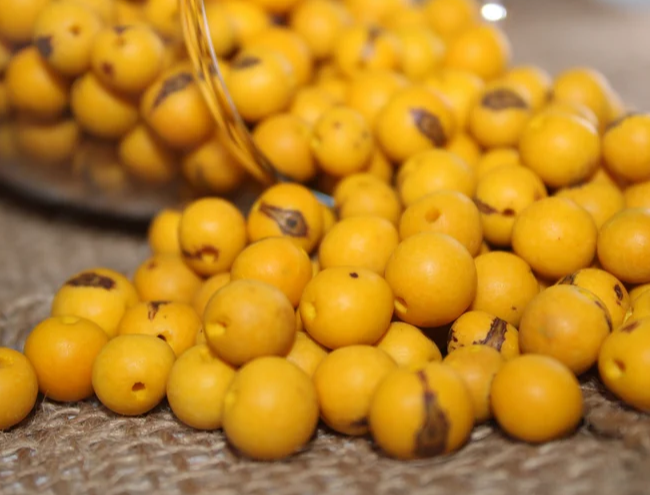Yellow beads Acai seeds from the Colombian Amazonian palm. Size: 1x1cm. Hole size 1mm approx. natural accounts. Pack of 200 beads.