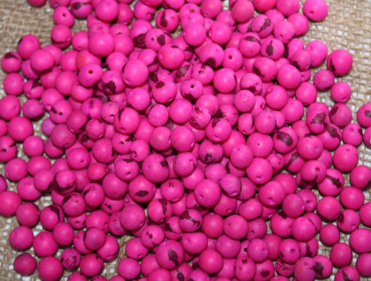 Pink beads Acai seeds from the Colombian Amazonian palm. Size: 1x1cm. Hole size 1mm approx. natural accounts. Pack of 200 beads.