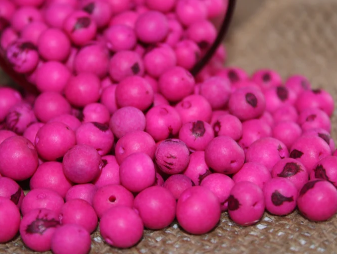 Pink beads Acai seeds from the Colombian Amazonian palm. Size: 1x1cm. Hole size 1mm approx. natural accounts. Pack of 200 beads.