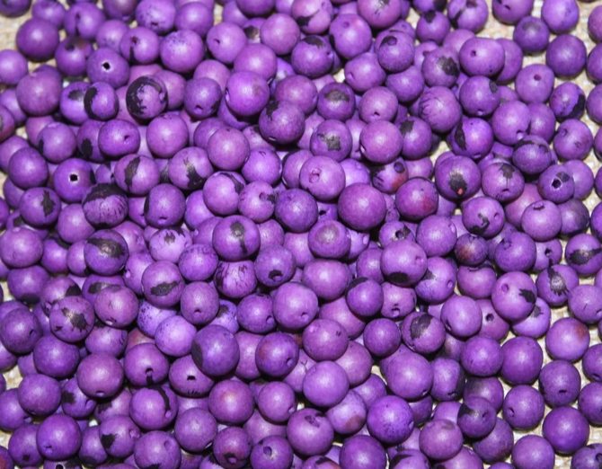 Purple beads Acai seeds from the Colombian Amazonian palm. Size: 1x1cm. Hole size 1mm approx. natural accounts. Pack of 200 beads.