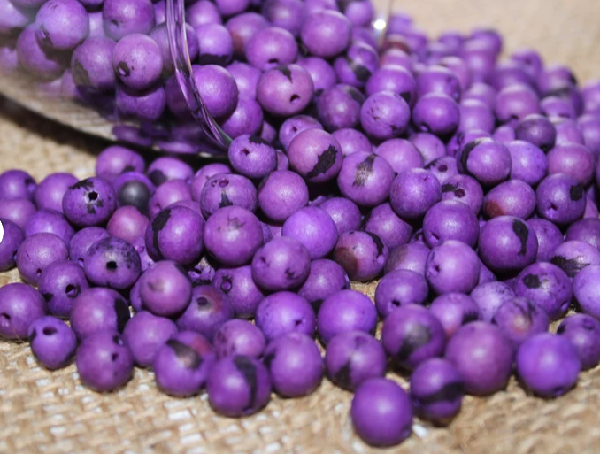 Purple beads Acai seeds from the Colombian Amazonian palm. Size: 1x1cm. Hole size 1mm approx. natural accounts. Pack of 200 beads.
