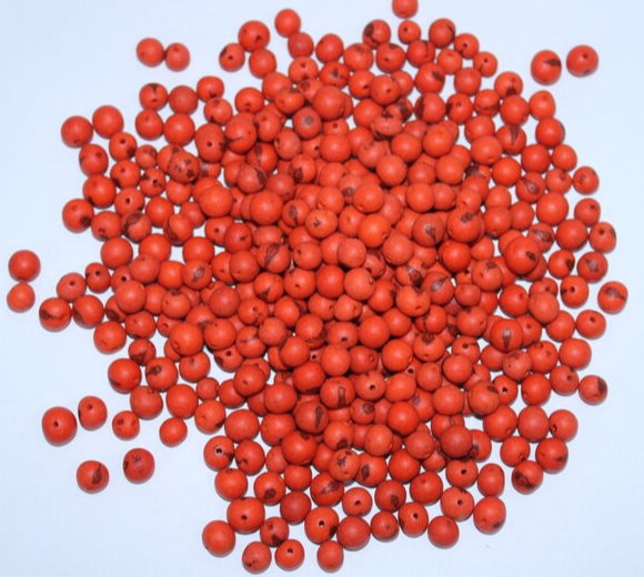 Orange beads Acai seeds from the Colombian Amazonian palm. Size: 1x1cm. Hole size 1mm approx. natural accounts. Pack of 200 beads.