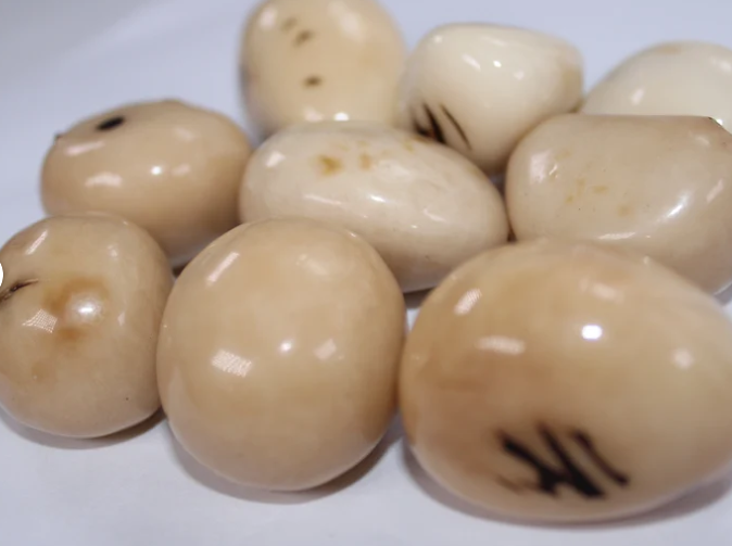 Tagua Whole Nut Tagua Covered with Eco-Resin. 5 Pieces. Small Size: 35 x 25 mm. approx. Top Drilled. Sustainable Jewelry making supplies