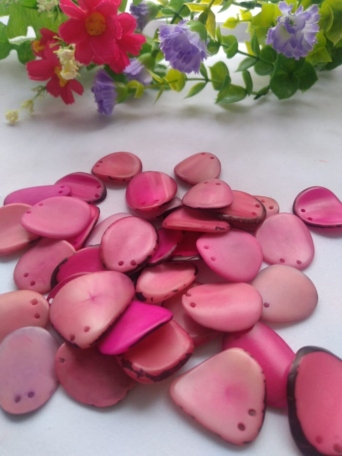 Tagua Chip Slices Beads. 20 Pieces in Multiple Colors.