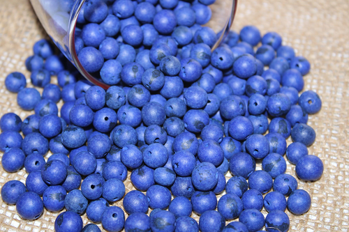 Navy blue beads Acai seeds from the Amazonian palm. Size: 1x1cm. Hole size 1mm approx. natural accounts. Pack of 200 beads. TABlue02