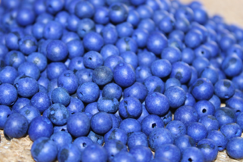 Navy blue beads Acai seeds from the Amazonian palm. Size: 1x1cm. Hole size 1mm approx. natural accounts. Pack of 200 beads. TABlue02
