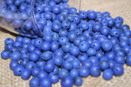 Navy blue beads Acai seeds from the Amazonian palm. Size: 1x1cm. Hole size 1mm approx. natural accounts. Pack of 200 beads. TABlue02