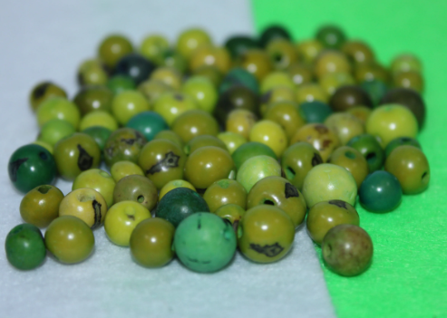 Multicolored Acai Seed Beads from the Amazonian Palm. Size: 6x6mm. Hole Size 1mm Approx 8 Colors Pack of 200 Beads. TAMulticolored01