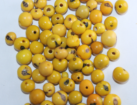 Yellow and Beige Beads Acai Seeds. Size: 6 x 6 mm. Hole Size 1mm Approx Natural Accounts Pack of 200 Beads. TATwocolors01