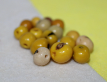 Yellow and Beige Beads Acai Seeds. Size: 6 x 6 mm. Hole Size 1mm Approx Natural Accounts Pack of 200 Beads. TATwocolors01