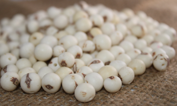 White Beads Acai Seeds from the Colombian Amazonian Palm. Size: 1x1cm. Hole Size 1mm Approx. Natural Accounts. Pack of 200 Beads. TAWhite01