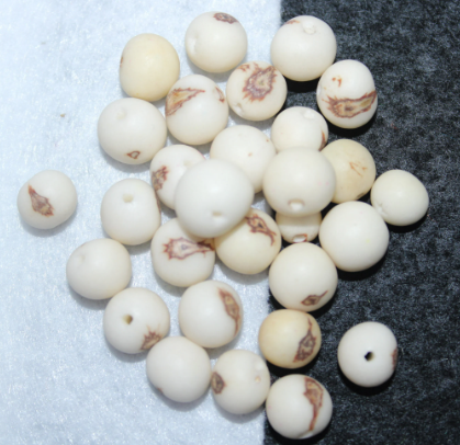 White Beads Acai Seeds from the Colombian Amazonian Palm. Size: 1x1cm. Hole Size 1mm Approx. Natural Accounts. Pack of 200 Beads. TAWhite01