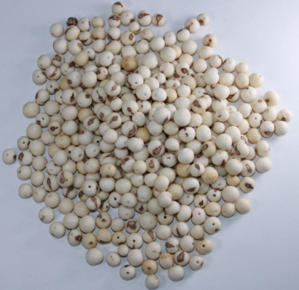 White Beads Acai Seeds from the Colombian Amazonian Palm. Size: 1x1cm. Hole Size 1mm Approx. Natural Accounts. Pack of 200 Beads. TAWhite01