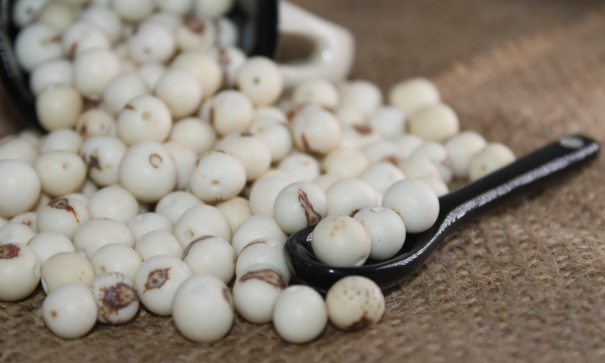 White Beads Acai Seeds from the Colombian Amazonian Palm. Size: 1x1cm. Hole Size 1mm Approx. Natural Accounts. Pack of 200 Beads. TAWhite01