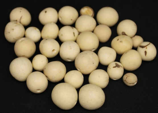 20 Bombona Balls From Colombia. Beige Bombona Unpolished / Matte. It’s punctured straight through. TBBeige03