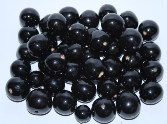 100 Bombona Balls From Colombia. Black Bombona Seeds. It’s punctured straight through. TBBlack01
