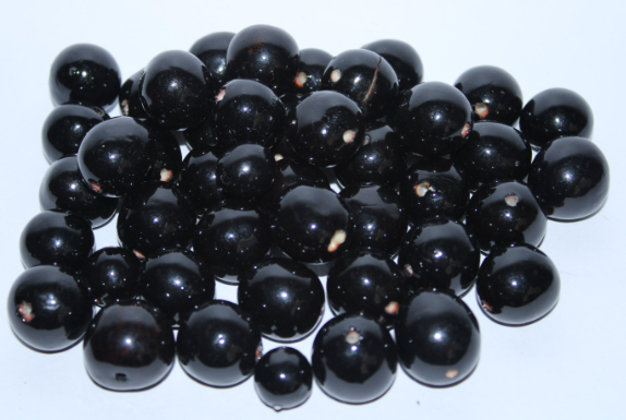 30 Bombona Balls From Colombia. Black Bombona Seeds. It’s punctured straight through. TBBlack01