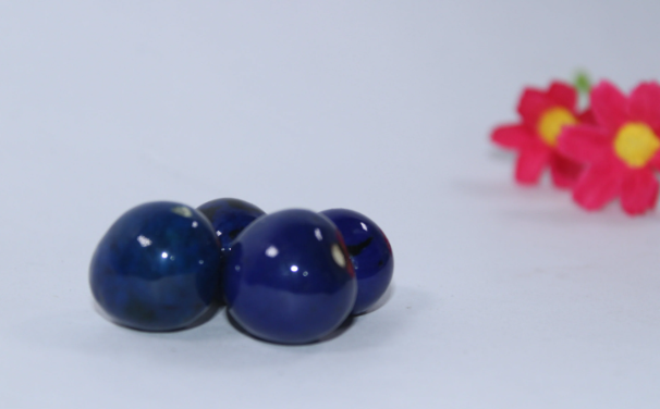 20 Bombona Balls from Colombia, Polished. Dark blue Bombona Seeds. It’s Punctured Straight Through. TBBlue01