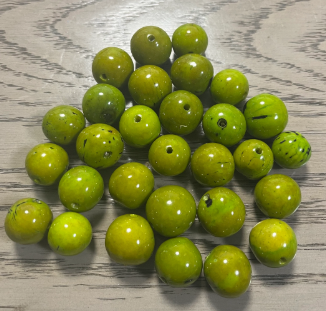 Natural Beads |Bombona Seed Beads| 30 Bombona Balls from Colombia. Green Bombona Seeds. It’s Punctured Straight Through. TBGreen01