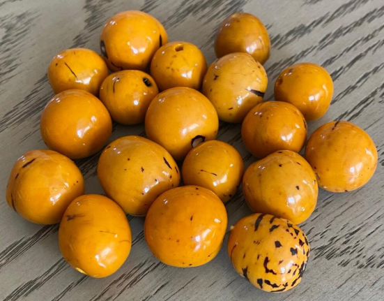 Natural Beads |Bombona Seed Beads| 60 set bombona beads. 60 beads in six colors. It’s Punctured Straight Through. TBMulticolored02