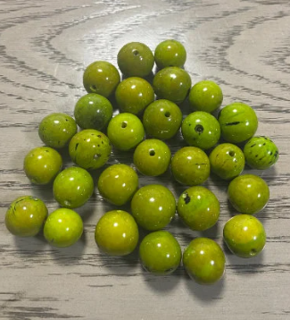Natural Beads |Bombona Seed Beads| 70 set bombona beads. 70 beads in seven colors. It’s Punctured Straight Through. TBMulticolored01