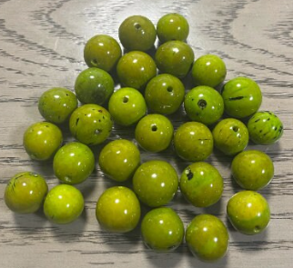 Natural Beads |Bombona Seed Beads| 60 set bombona beads. 60 beads in six colors. It’s Punctured Straight Through. TBMulticolored02