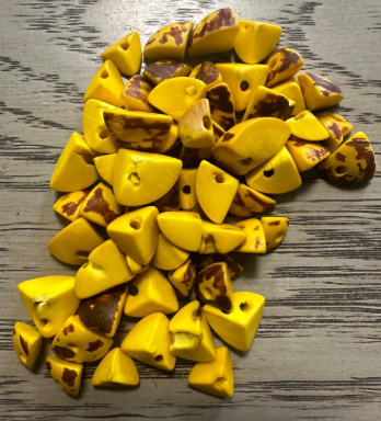 Tagua Nut Seed Beads 100 Twisted Pyramid Puff Beads in Yellow. 1-2 cm approx. Sustainable Spacing Spacer Jewelry Making Irregular. TBTYellow01