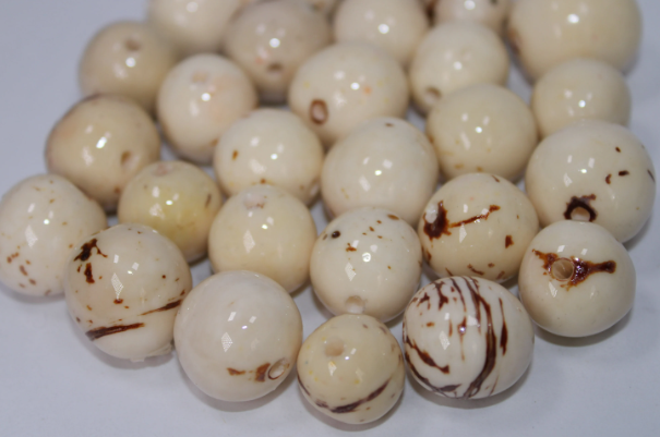 Natural Beads |Bombona Seed Beads| 20 Bombona Balls from Colombia. White Bombona Seeds. It’s Punctured Straight Through. TBWhite01