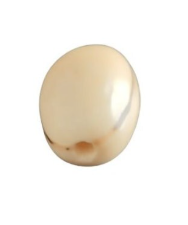 Beige Beads Made of camajuro Seeds from Colombia. Size: 2.5x1.5 cm. Approx. Pack of 80 Natural Beads. Vertical Top Drilled. TCBeige02
