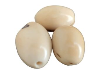 Beige Beads Made of camajuro Seeds from Colombia. Size: 2.5x1.5 cm. Approx. Pack of 80 Natural Beads. Vertical Top Drilled. TCBeige02