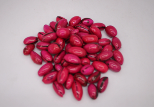 Fuchsia Beads Made of camajuro Seeds from Colombia. Size: 2.5 x 1.5 cm. Approx. Drilled. Natural Beads Pack of 30 Beads. TCFuchsia01