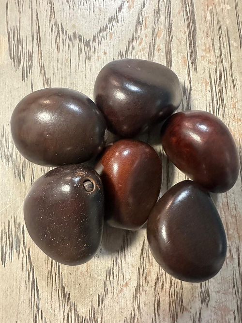 Seed Beads Whole 5 Tagua Nuts Brown Polished Natural Shine Large: 3.5x3 cm. Top-drilled. Jewelry Making Carving Woodwork. TWBrown02D-U