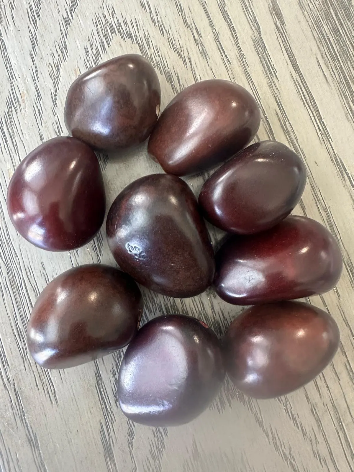 Seed Beads Whole 5 Tagua Nut Reddish brown Polished Natural Shine Large 3.5x3cm. approx. Top Drilled. TWBrown03D-U