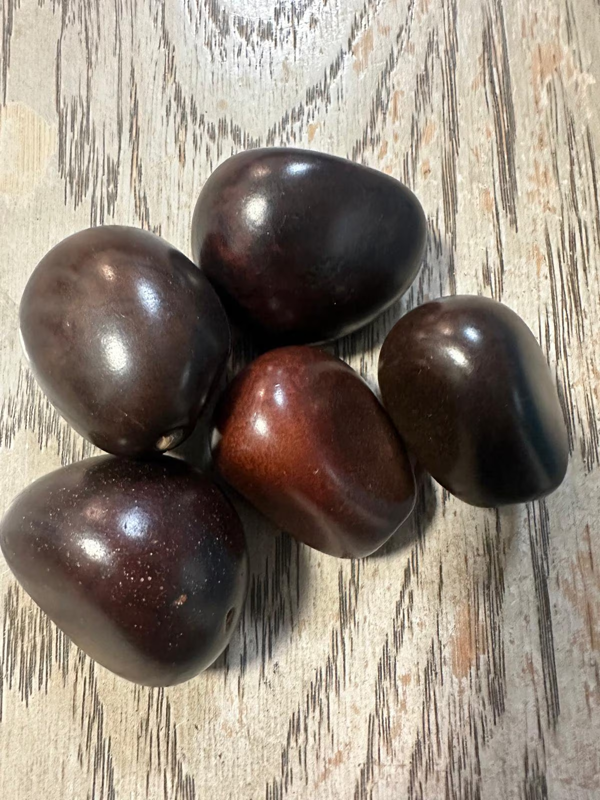 Seed Beads Whole 5 Tagua Nuts Brown Polished Natural Shine Medium: 3x2.5cm. approx. Top Drilled. TWBrown04D-U