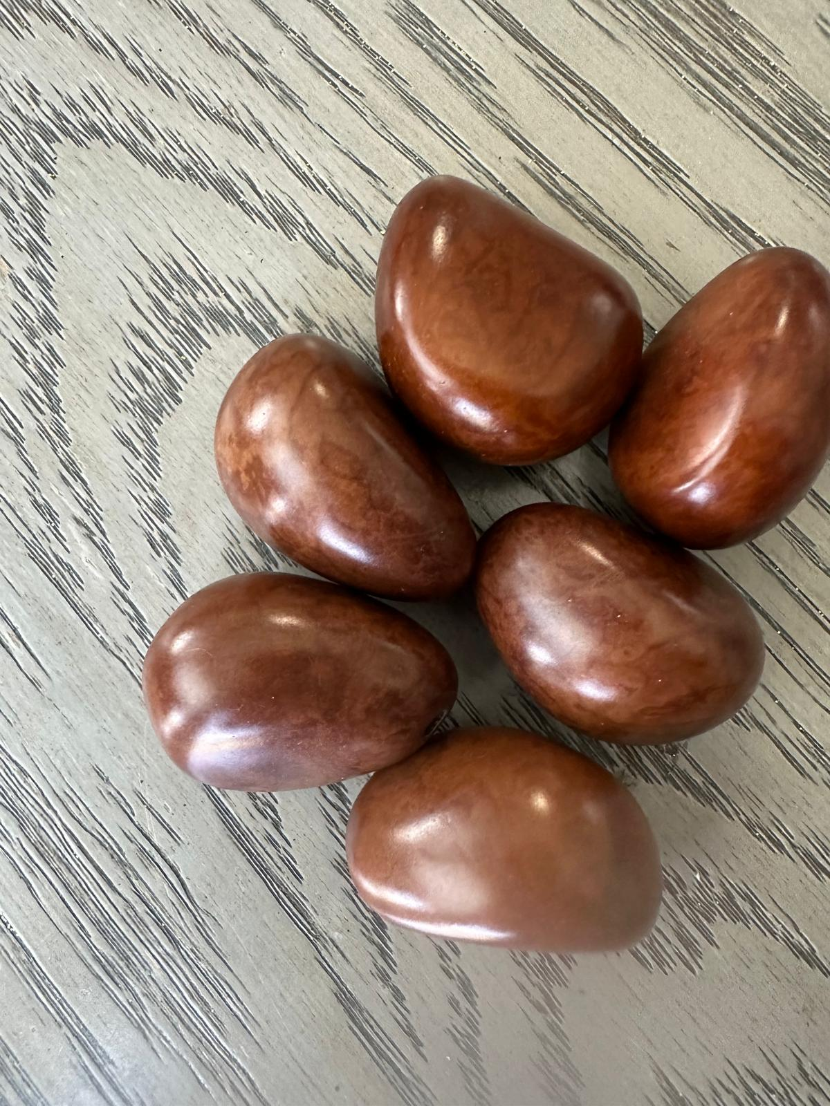 Seed Beads Whole 5 Tagua Nuts Brown Polished Natural Shine Large: 3.5x3 cm. approx. Undrilled. TWBrown02U-D