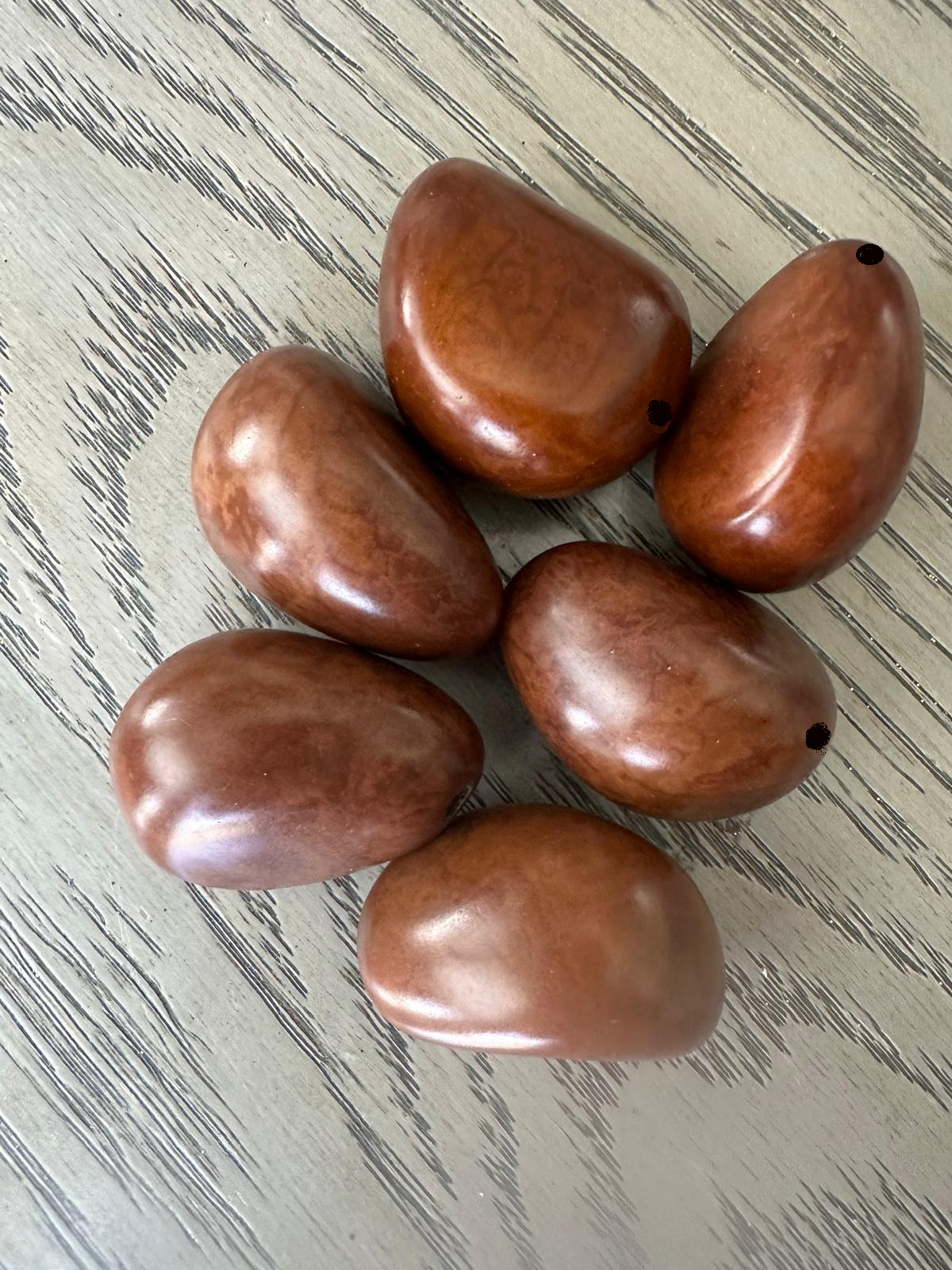 Seed Beads Whole 5 Tagua Nuts Brown Polished Natural Shine Large: 3.5x3 cm. approx. Top-drilled. TWBrown02U-D