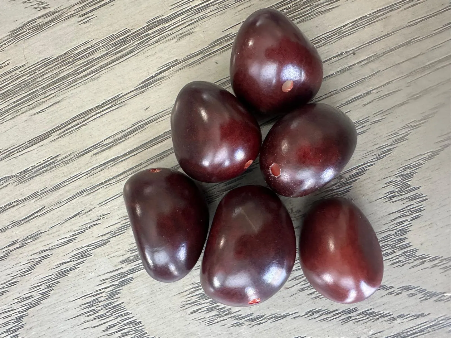 Seed Beads Whole 5 Tagua Nut Reddish brown Polished Natural Shine Large 3.5x3cm. approx. Top Drilled. TWBrown03D-U