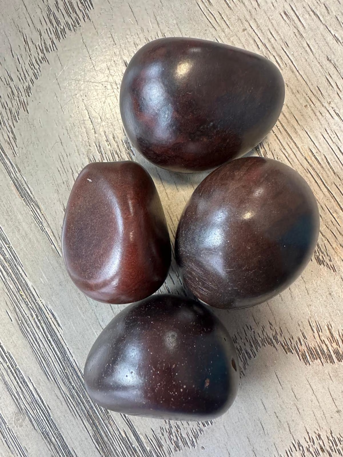 Seed Beads Whole 5 Tagua Nut Reddish brown Polished Natural Shine Large 3.5x3cm. approx. Top Drilled. TWBrown03D-U