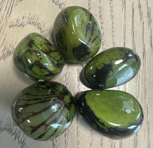 Tagua Nut Green Color.  Whole Tagua Nut | Undrilled 6 Nuts. Size: 4x 3.5 cm. approx. TWGreen03U